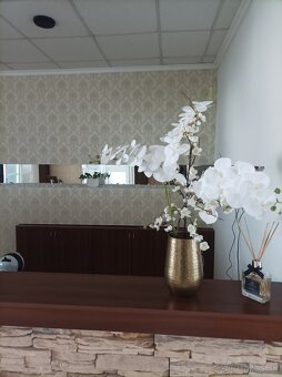 Predám zabehnutý svadobný salón - 8