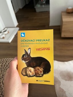 Predám zajaca+klietku - 8