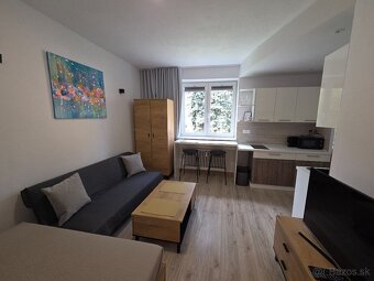 Krárkodobý Prenájom-Apartmán v BB - od 3 hod. - 8