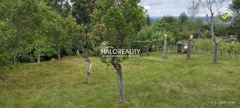 HALO reality - Predaj, rekreačný pozemok Krupina, Stará hora - 8