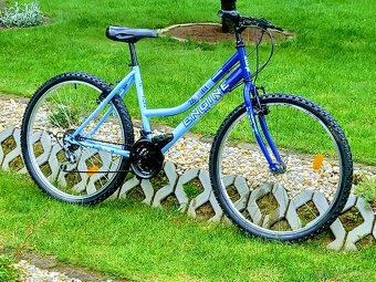 Bicykel Engine - 8