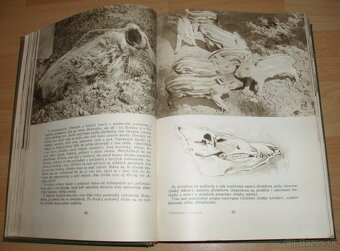 Poľovníctvo v obrazoch - 8