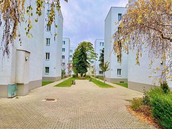 Na prenájom 1i. zariadený byt, BA-Nové Mesto, Vajnorská ul - 8