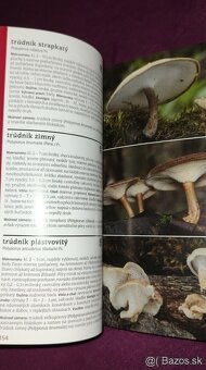 1000 slovenských a českých húb - 8