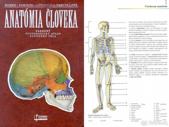 ANATÓMIA - knihy v PDF - 8