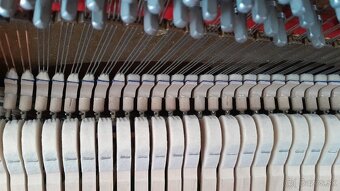 Pianino Petrof Chipendale - 8
