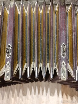 Gombikova harmonika - 8