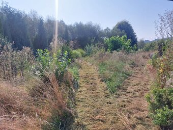 Profesionálna úržba pozemkov - 8