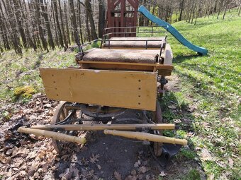 Konský koč na predaj - 8