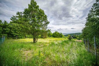 TOREA -  POZEMOK NA PREDAJ - 2905 m2 - SVÄTÝ JUR, OKRES PEZI - 8