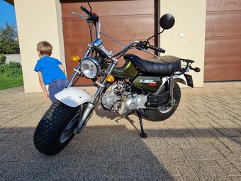 Skyteam, T- Rex 125 - 8