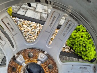 Predam sadu VW mallory r18 - 8