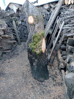 Ceresnové drevo - 8