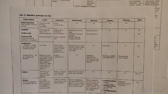 Učebnica masáží . - 8