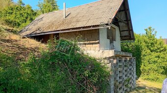 Vinica so záhradnou chatkou - 8