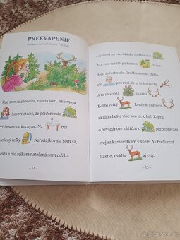 Kniha - Maľované čítanie - 8