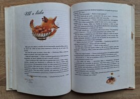 Svadba lisky Rysky - 8