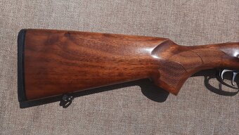 Guľová kozlica Brno - 8