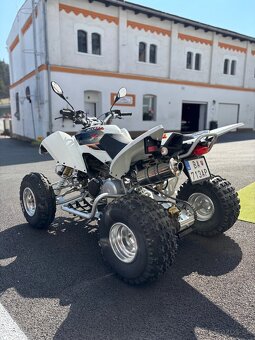 Access motor Tomahawk 300 SP300R Limited editon - ULOŽENKA❗️ - 8