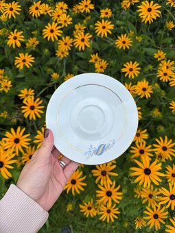 Porcelánová čajová súprava Thun Angelika – komplet, nový sta - 8