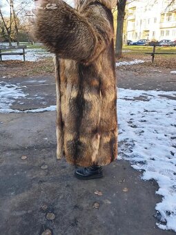 Kožich. Jezerní liška. - 8