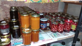 Chilli - 8