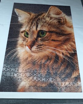 Puzzle - 8