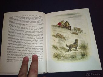 Chyžna pod horami - 8