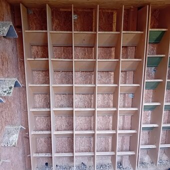 Rozpredam holubnik plus hodiny benzing - 8