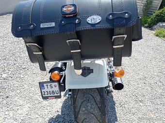 Harley Davidson Fat boy 114 - 8