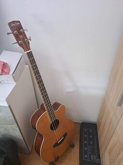 Basgitara elektroakusticka - 8