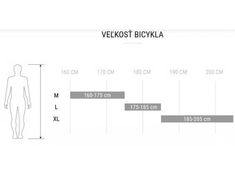 Bicykel CTM Rein 2.0 29" strieborná / čierna - 8