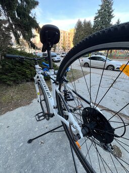 Specialized Ariel - 8