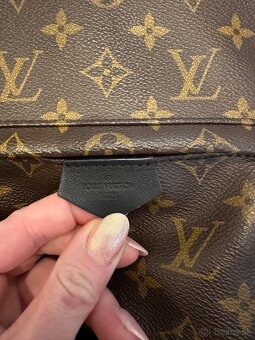 Louis Vuitton palm springs PM - 8