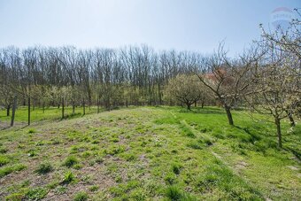Na predaj 3 izbový rodinný dom, prístavba, garáž, pozemok 72 - 8