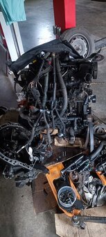 Fiat scudo - NEBURANE - 8