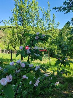 NOVINKA Na predaj pozemok myjavské kopanice - 8