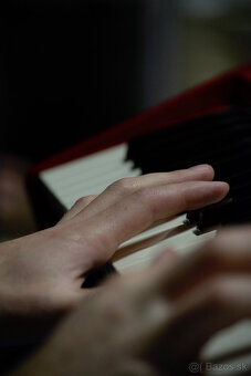 Hľadá sa spevák - 8