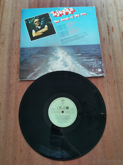 LP platne južanské - 8