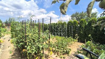 Na predaj záhradka s chatkou v meste Partizánske, 200m2 - 8