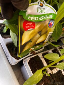 Planty - 8