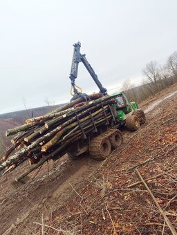 Ťažba dreva a kúpa porastov na pni - 8