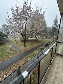 na prenájom pekný 3-izbový byt - 8