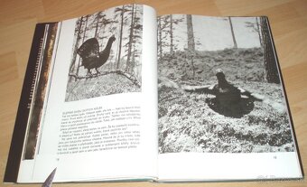 Rytíři hlubokých lesu - 8