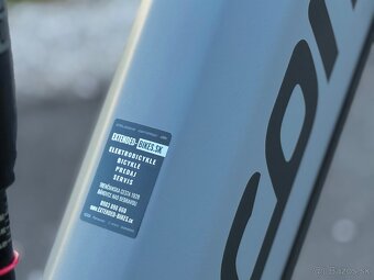 Corratec E-Power RS 160 Elite 2025 Grey, Black, Red - 8