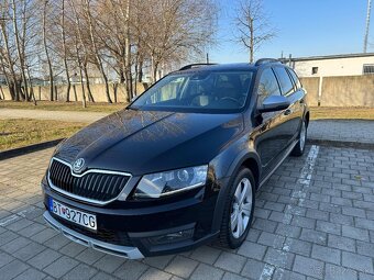 Octavia Scaut - 8