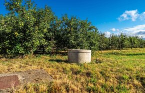 Ovocný sad, veľký stavebný pozemok s IS, obec Málaš, 2745m2 - 8