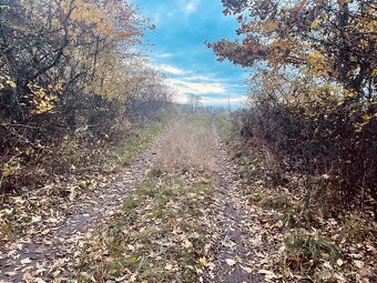 Pozemok - Lúka, Malé Leváre, 26 385 m² - 8