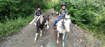 Predám 8 mesačnú kobylku poníka - 8