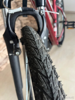 Úplne nový dámsky trekový bicykel CTM Bora 1.0 28” , M (16" - 8